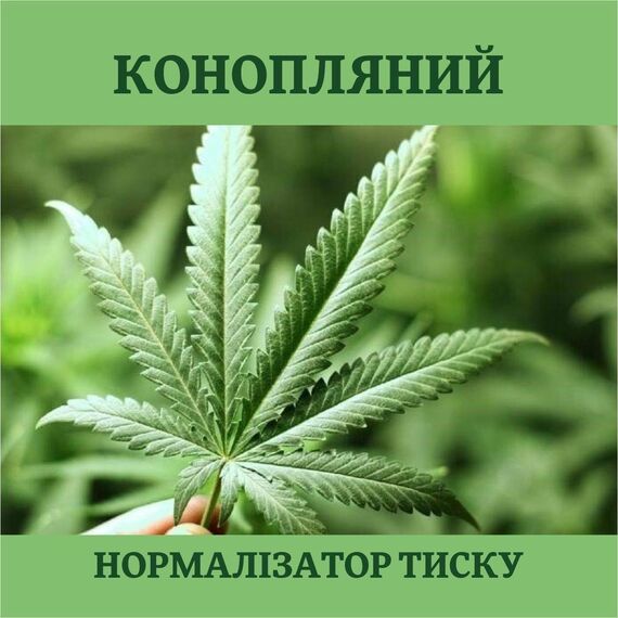 Конопляний нормалізатор тиску, зображення 2 Конопляний нормалізатор тиску, зображення 2