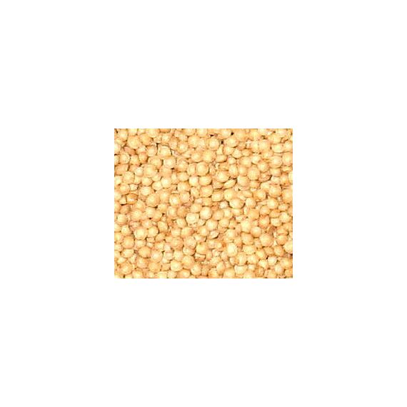 Насіння Амаранту сорту Харьківский-1, зображення 3